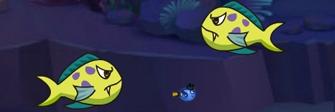 Fish Eat Fish