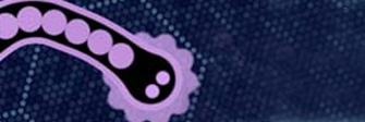 Gulper io