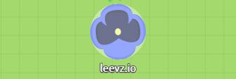 Leevz io