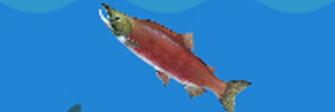 Salmonz io