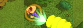Worms combat coop
